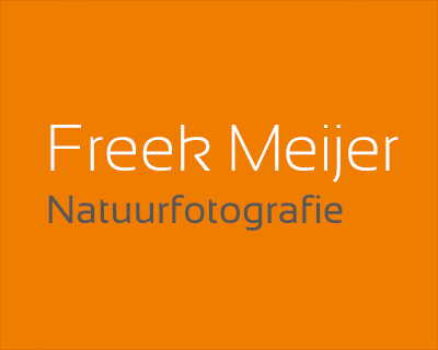 Freek Meijer
